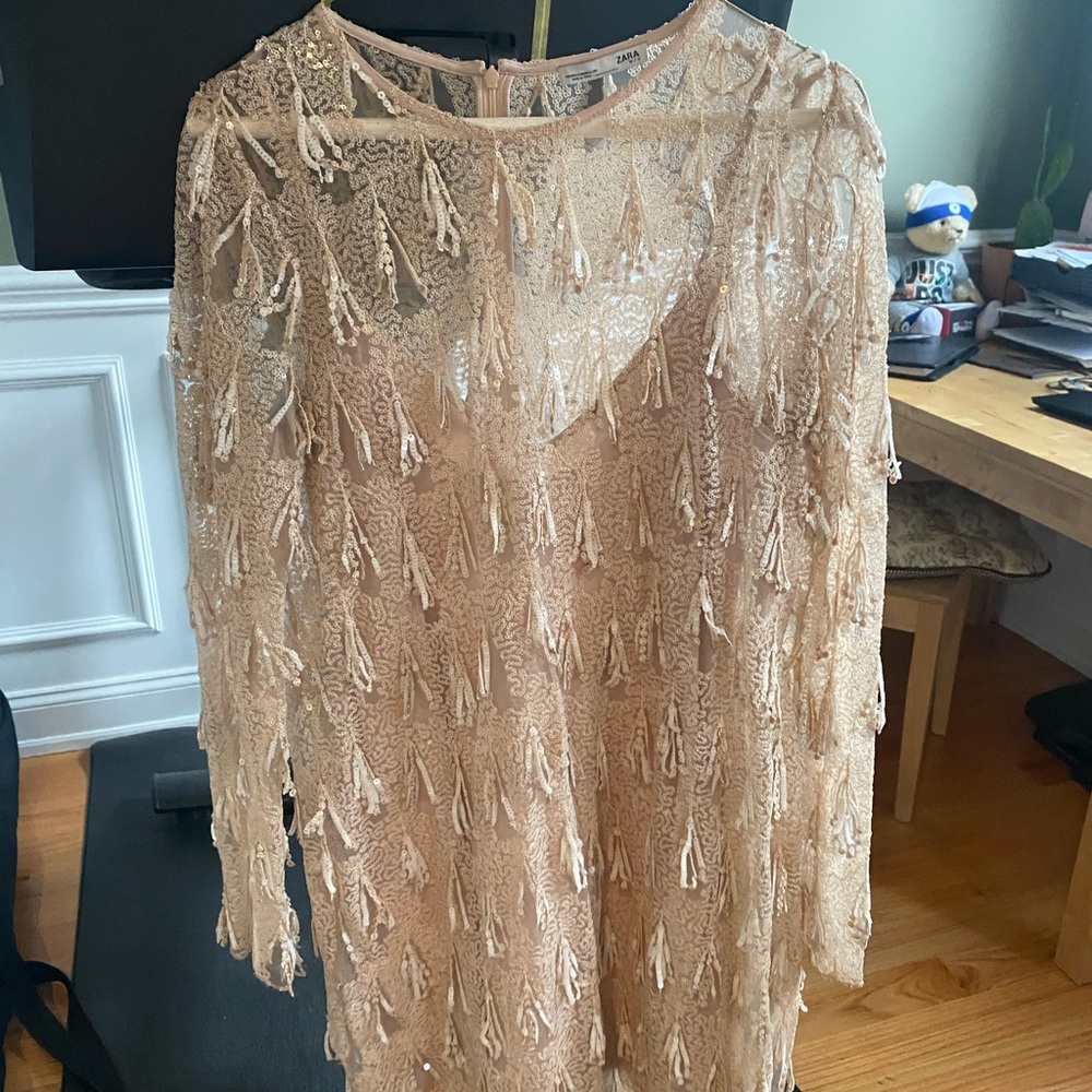 Zara sequin fringe mini dress